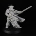 Primaris captain