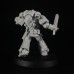 Primaris Lieutenants, armed with a power sword and bolt pistol
